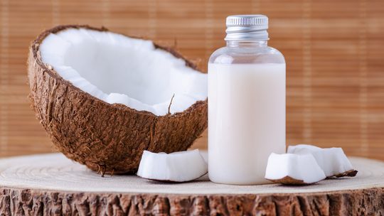 5 Tips for Giving Dogs Coconut Milk