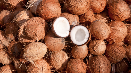 Celebrating Nature's Gift: World Coconut Day 🌴